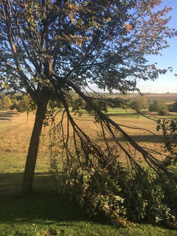 IMG-20180924-WA0027